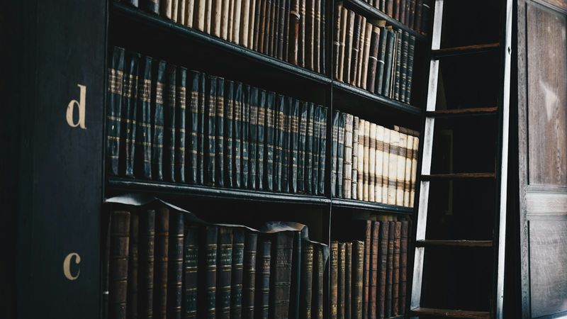 Shelves of leather-bound law books in a dark library
